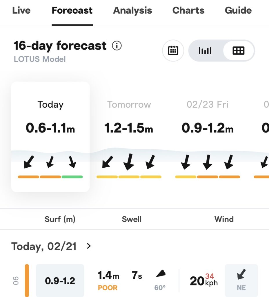 Surfline （サーフライン）波情報アプリ