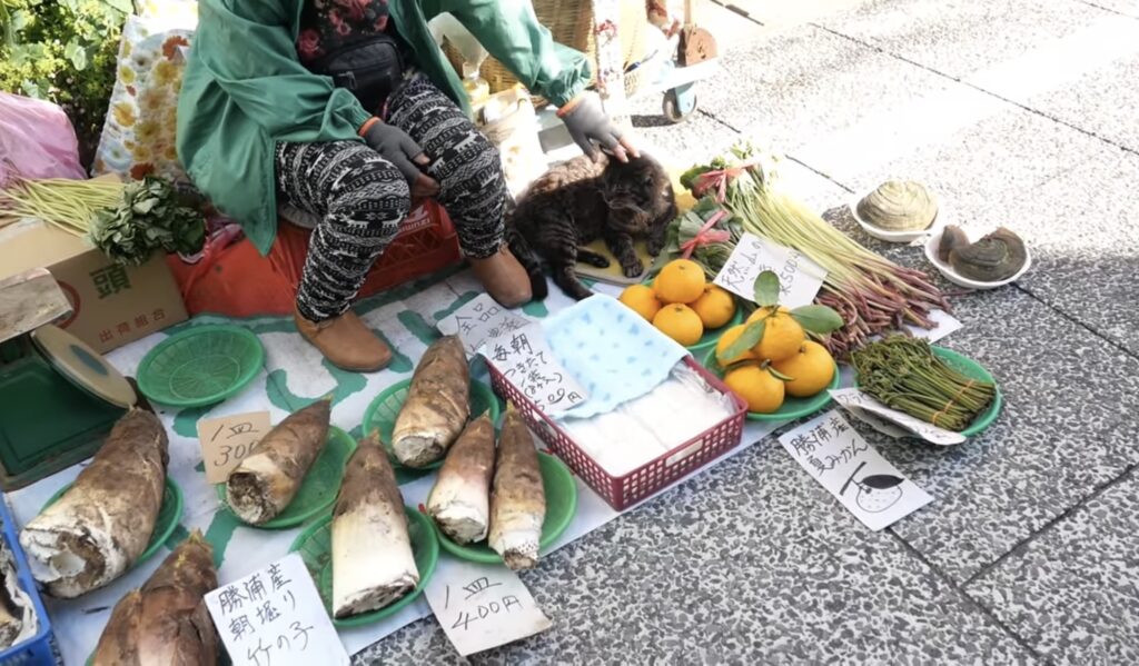 かつうら朝市 新鮮な農作物が並びます